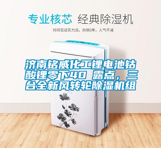 濟(jì)南銘威化工鋰電池鈷酸鋰零下40℃露點(diǎn)，三臺(tái)全新風(fēng)轉(zhuǎn)輪除濕機(jī)組