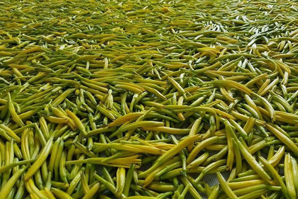 無硫金針菜烘干如何保持品相?不發(fā)黑?_除濕機廠家