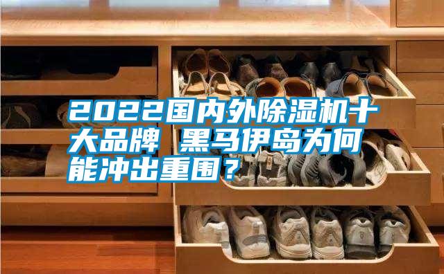 2022國內外除濕機十大品牌 黑馬伊島為何能沖出重圍？