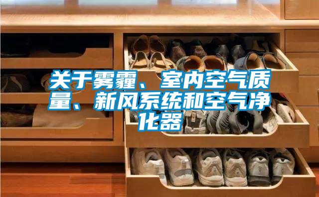關于霧霾、室內空氣質量、新風系統和空氣凈化器