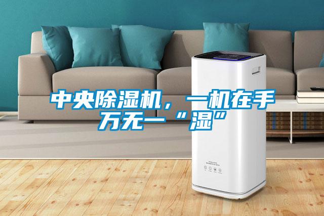 中央除濕機，一機在手萬無一“濕”