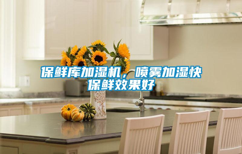保鮮庫加濕機，噴霧加濕快保鮮效果好