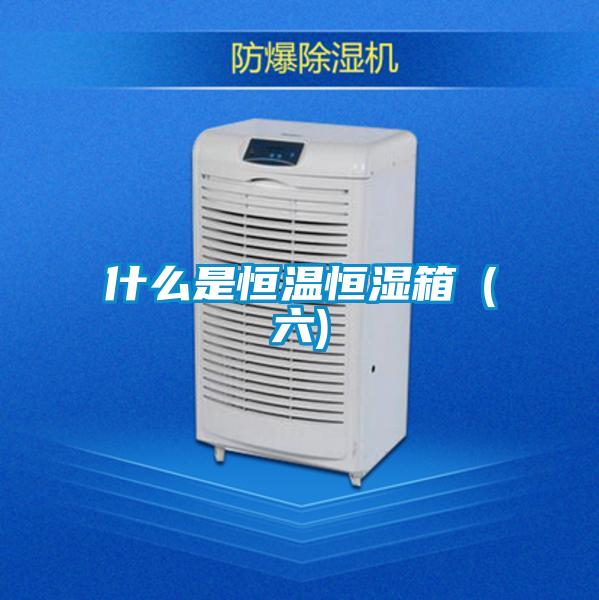 什么是恒溫恒濕箱(六)