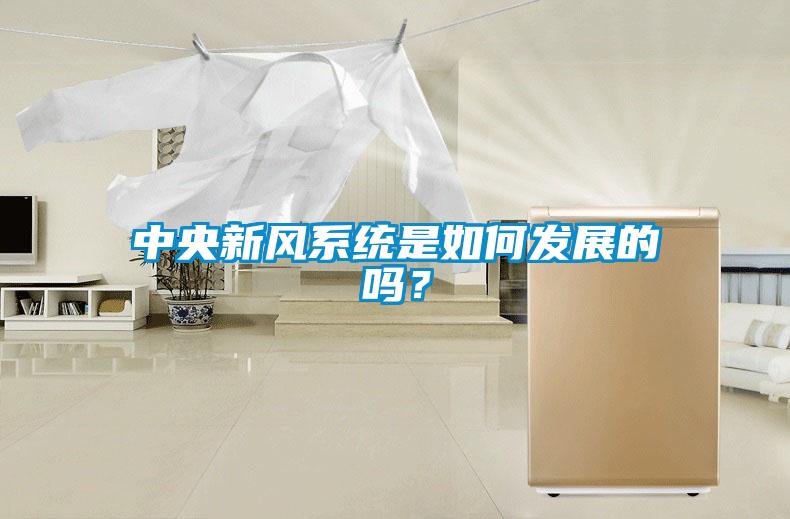 中央新風系統(tǒng)是如何發(fā)展的嗎?