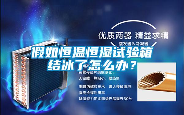 假如恒溫恒濕試驗(yàn)箱結(jié)冰了怎么辦？