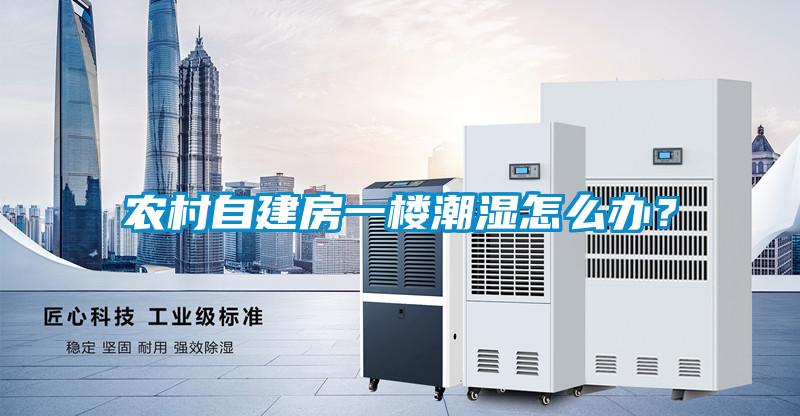 農(nóng)村自建房一樓潮濕怎么辦？
