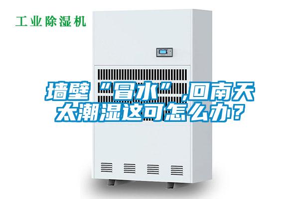 墻壁“冒水”,回南天太潮濕這可怎么辦？