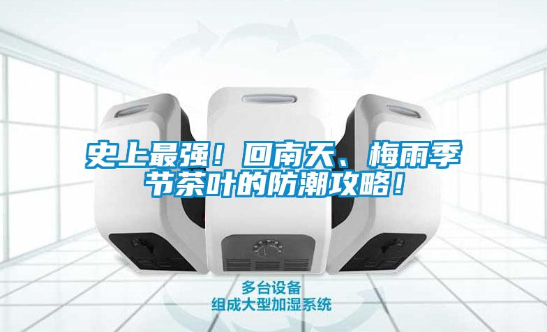 史上最強！回南天、梅雨季節茶葉的防潮攻略！