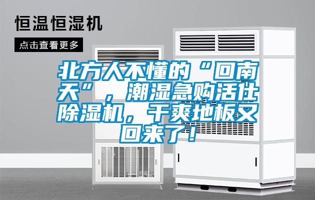 北方人不懂的“回南天”，潮濕急購活仕除濕機，干爽地板又回來了！