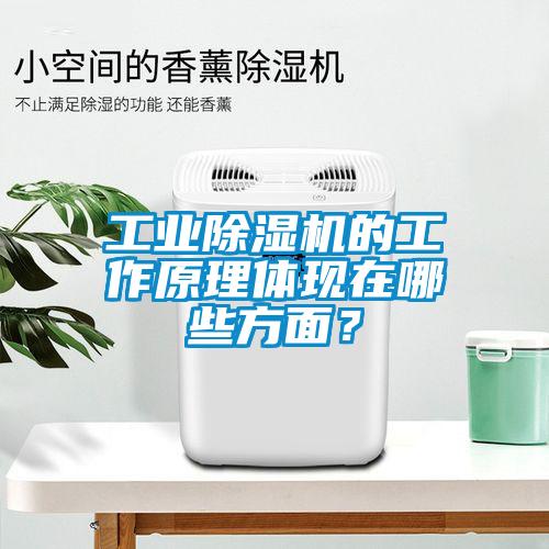 工業(yè)除濕機(jī)的工作原理體現(xiàn)在哪些方面？