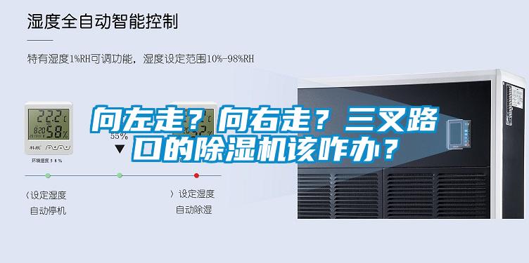 向左走？向右走？三叉路口的除濕機該咋辦？
