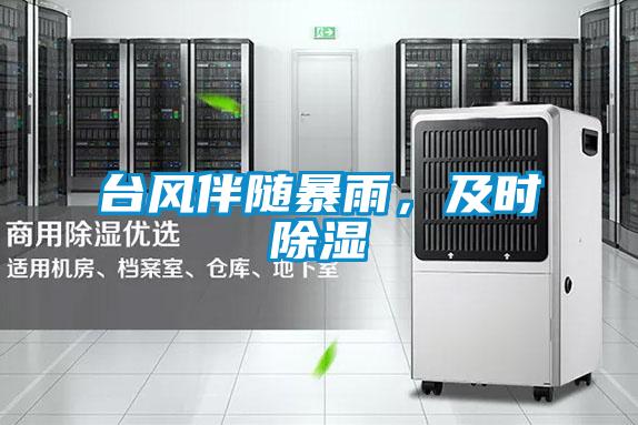 臺風伴隨暴雨，及時除濕