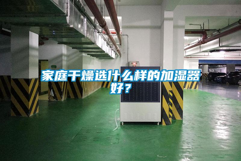 家庭干燥選什么樣的加濕器好？