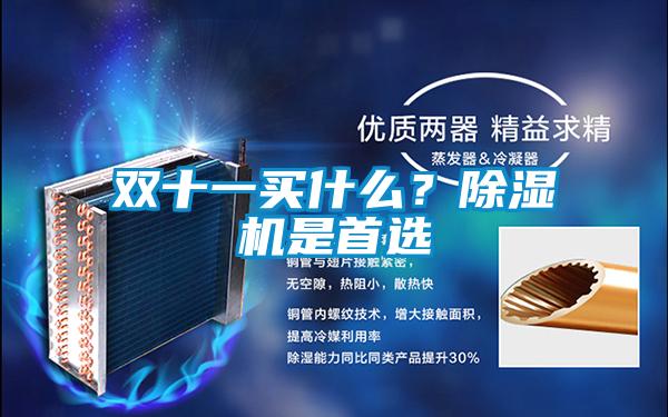 雙十一買什么？除濕機是首選