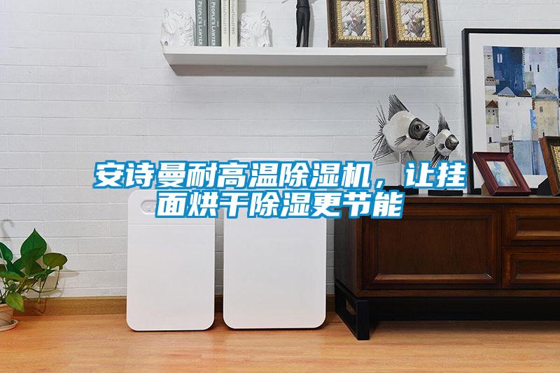 安詩曼耐高溫除濕機(jī)，讓掛面烘干除濕更節(jié)能