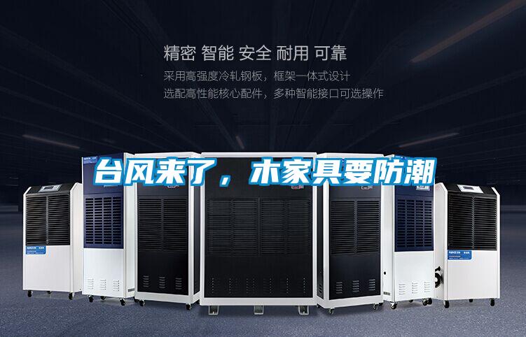 臺風來了，木家具要防潮