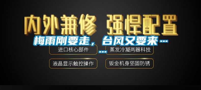 梅雨剛要走，臺風又要來……