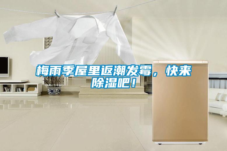 梅雨季屋里返潮發(fā)霉，快來除濕吧！