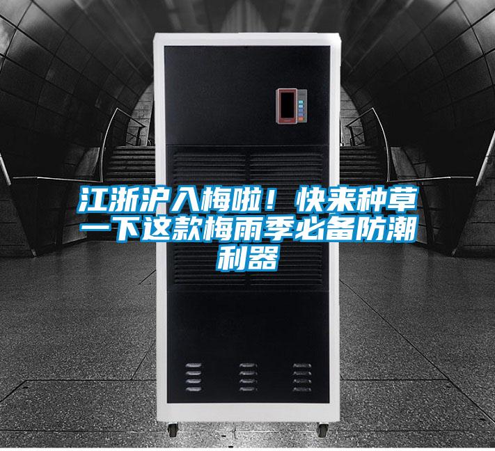 江浙滬入梅啦!快來種草一下這款梅雨季必備防潮利器