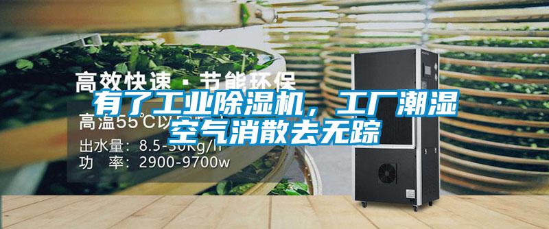 有了工業除濕機，工廠潮濕空氣消散去無蹤