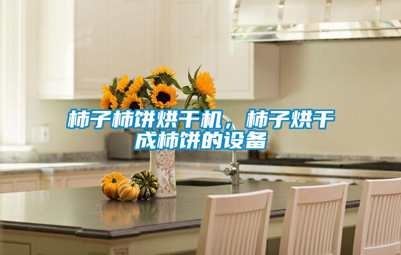 柿子柿餅烘干機，柿子烘干成柿餅的設備