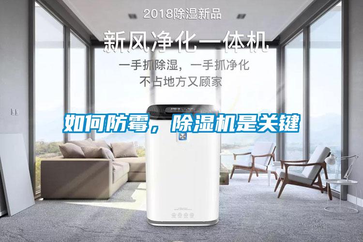 如何防霉，除濕機是關鍵