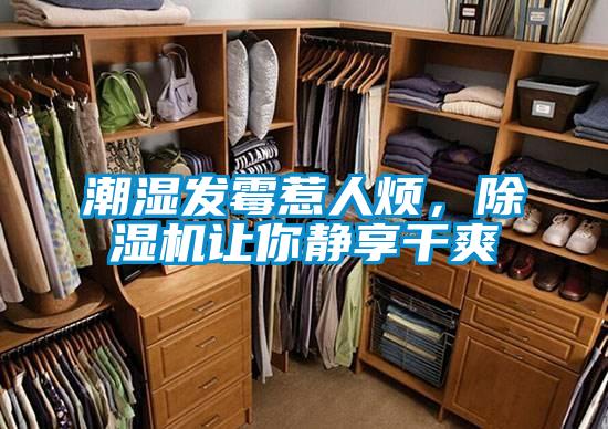 潮濕發(fā)霉惹人煩,除濕機(jī)讓你靜享干爽