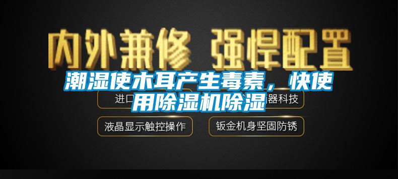 潮濕使木耳產生毒素,快使用除濕機除濕