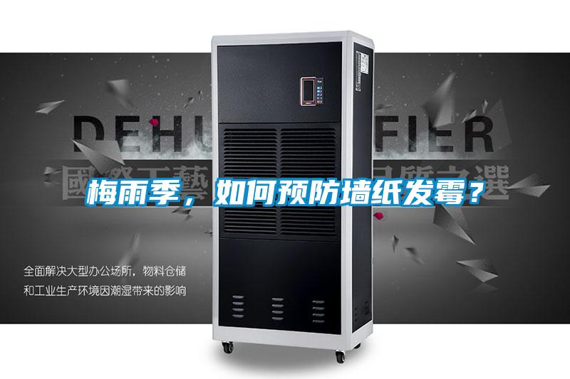 梅雨季，如何預防墻紙發霉？