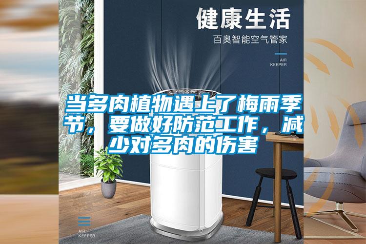 當多肉植物遇上了梅雨季節，要做好防范工作，減少對多肉的傷害