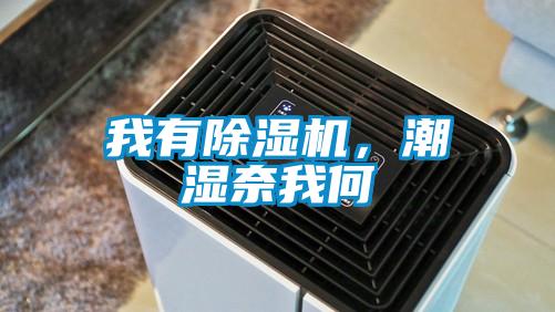 我有除濕機，潮濕奈我何