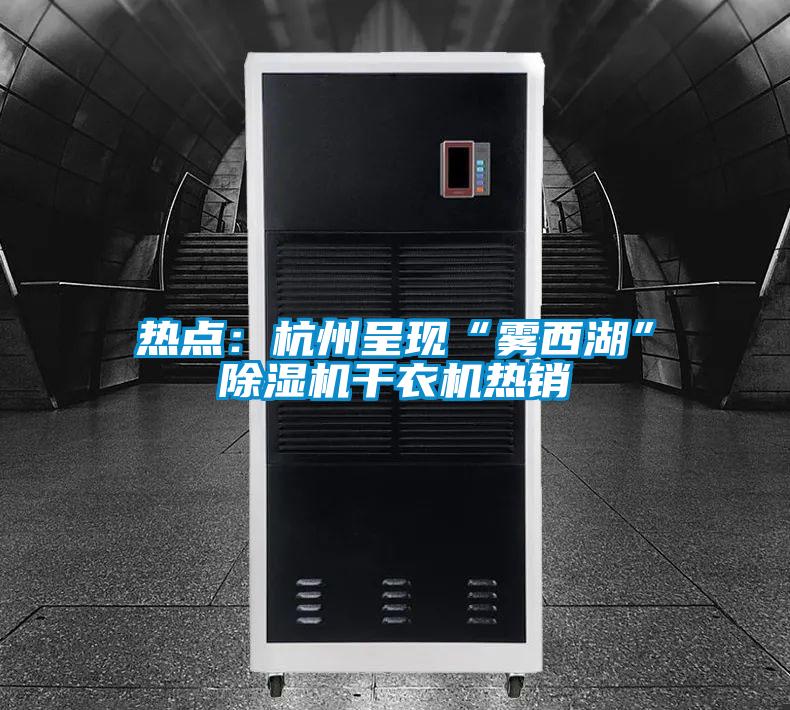 熱點(diǎn):杭州呈現(xiàn)“霧西湖”除濕機(jī)干衣機(jī)熱銷