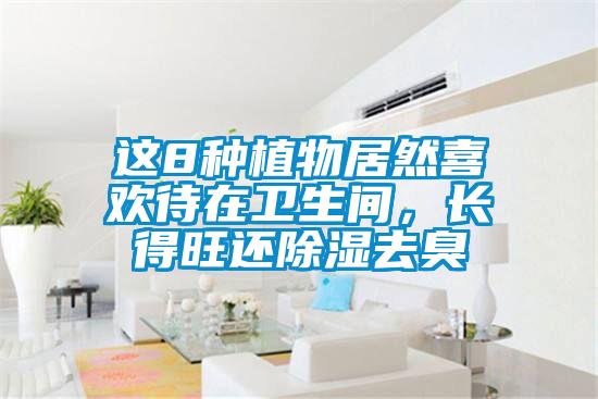 這8種植物居然喜歡待在衛(wèi)生間，長(zhǎng)得旺還除濕去臭