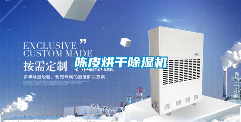 陳皮烘干除濕機(jī)