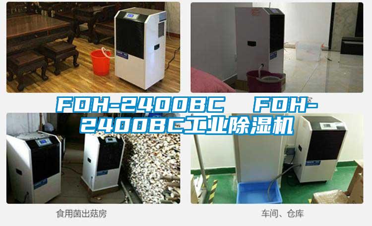FDH-2400BC  FDH-2400BC工業(yè)除濕機