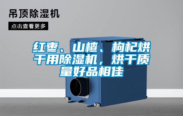 紅棗、山楂、枸杞烘干用除濕機(jī)，烘干質(zhì)量好品相佳