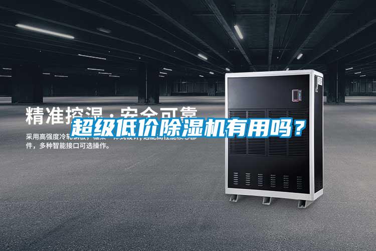 超級(jí)低價(jià)除濕機(jī)有用嗎？