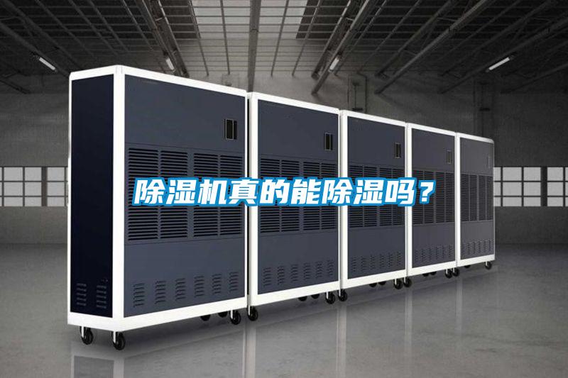 除濕機真的能除濕嗎？