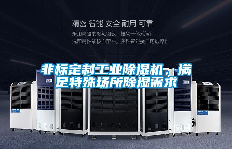 非標定制工業除濕機，滿足特殊場所除濕需求