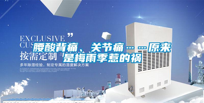 腰酸背痛、關節痛……原來是梅雨季惹的禍