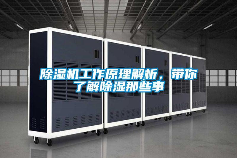 除濕機工作原理解析,帶你了解除濕那些事
