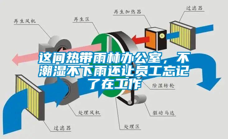 這間熱帶雨林辦公室，不潮濕不下雨還讓員工忘記了在工作