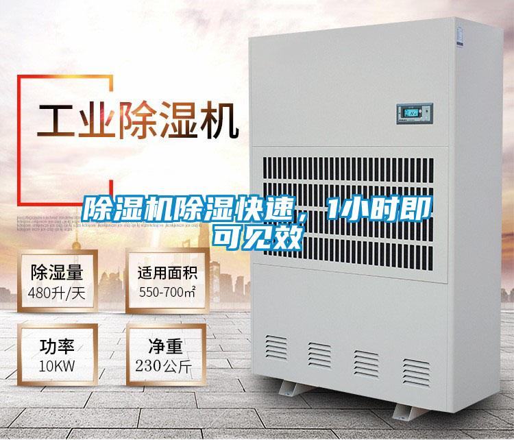 除濕機(jī)除濕快速,1小時(shí)即可見效