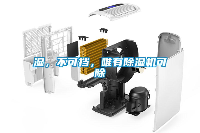 濕，不可擋，唯有除濕機可除