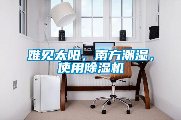難見太陽，南方潮濕，使用除濕機