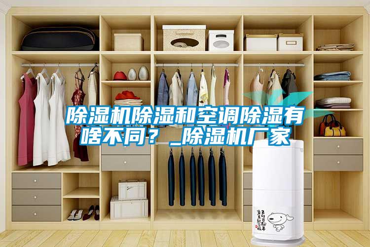 除濕機除濕和空調除濕有啥不同？_除濕機廠家