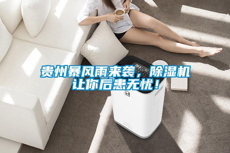 貴州暴風雨來襲，除濕機讓你后患無憂！