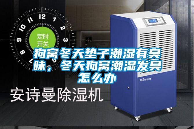 狗窩冬天墊子潮濕有臭味,冬天狗窩潮濕發(fā)臭怎么辦