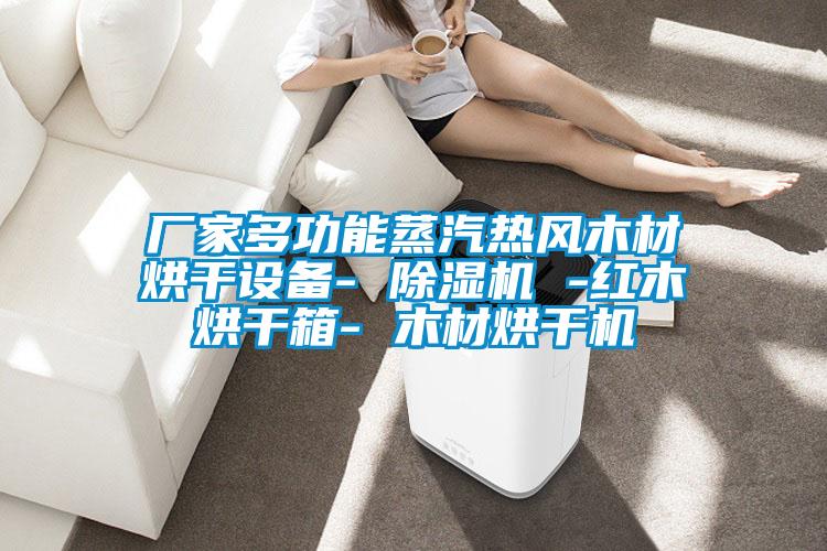 廠家多功能蒸汽熱風木材烘干設(shè)備- 除濕機 -紅木烘干箱- 木材烘干機