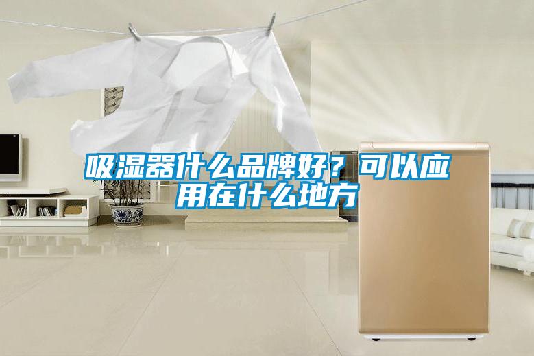 吸濕器什么品牌好？可以應用在什么地方